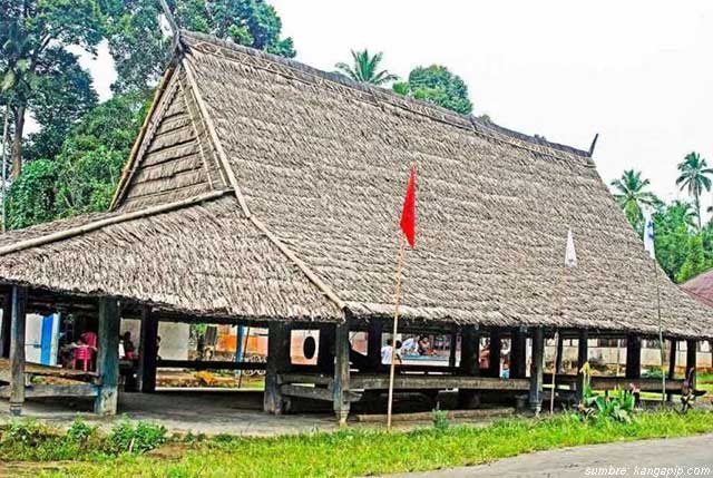 Detail Gambar Rumah Adat Provinsi Maluku Nomer 12