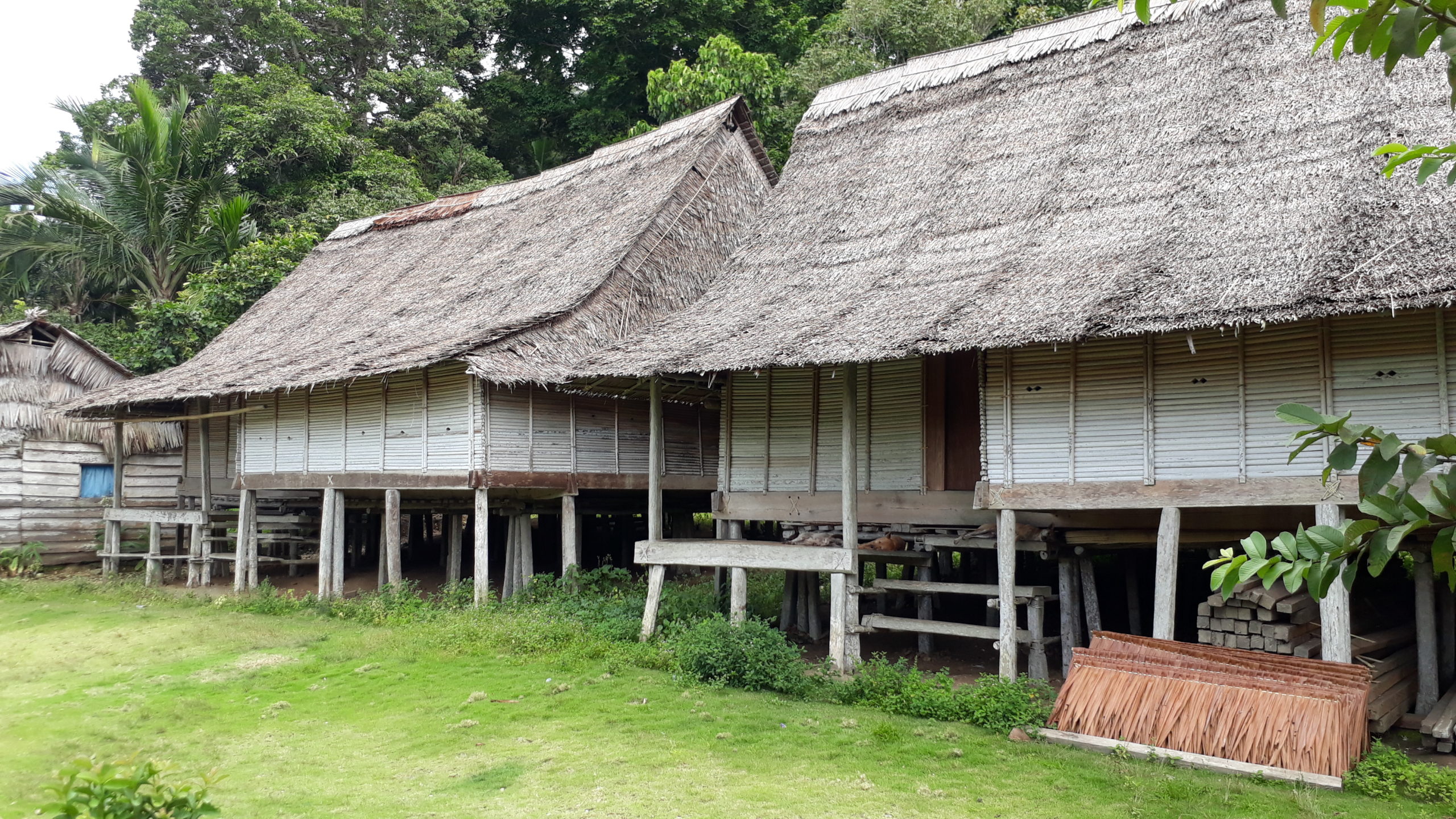 Detail Gambar Rumah Adat Provinsi Maluku Nomer 51