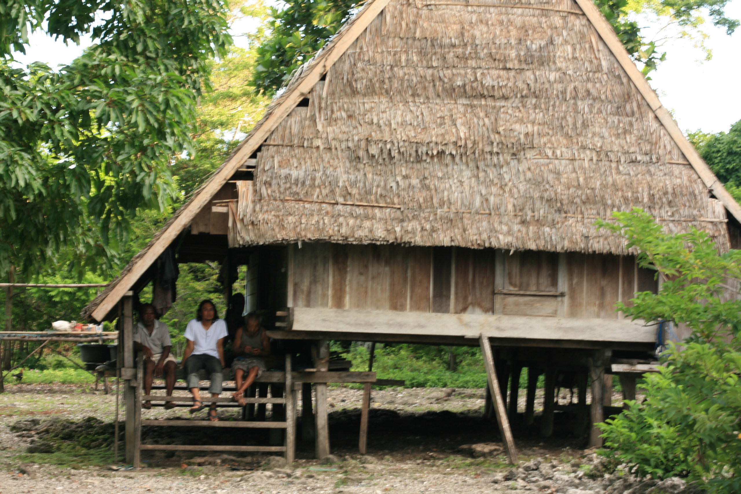 Detail Gambar Rumah Adat Provinsi Maluku Nomer 57