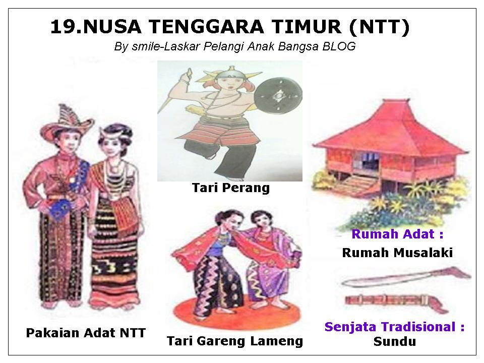 Detail Gambar Rumah Adat Senjata Alat Musik Dan Tarian Sumatera Utara Nomer 26