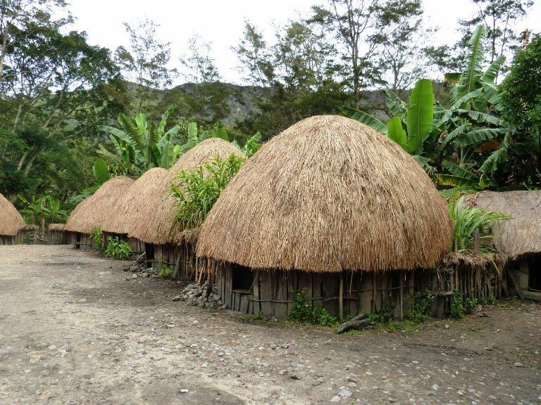 Detail Gambar Rumah Adat Suku Asmat Nomer 20