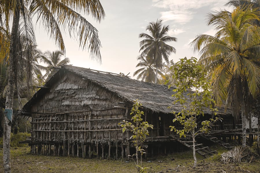Gambar Rumah Adat Suku Asmat 55+ Koleksi Gambar