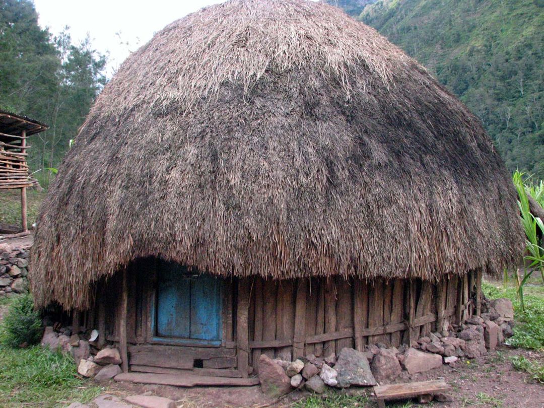 Detail Gambar Rumah Adat Suku Asmat Koleksi Nomer 27