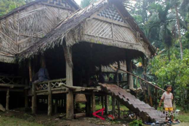 Detail Gambar Rumah Adat Suku Mentawai Nomer 11