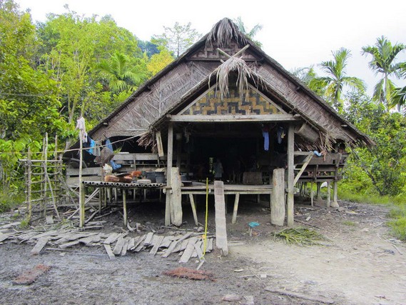 Detail Gambar Rumah Adat Suku Mentawai Nomer 12