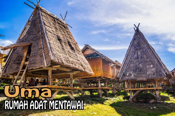 Detail Gambar Rumah Adat Suku Mentawai Nomer 17