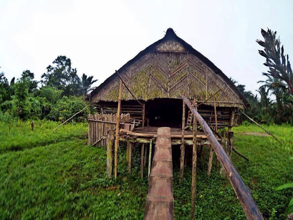 Detail Gambar Rumah Adat Suku Mentawai Nomer 32