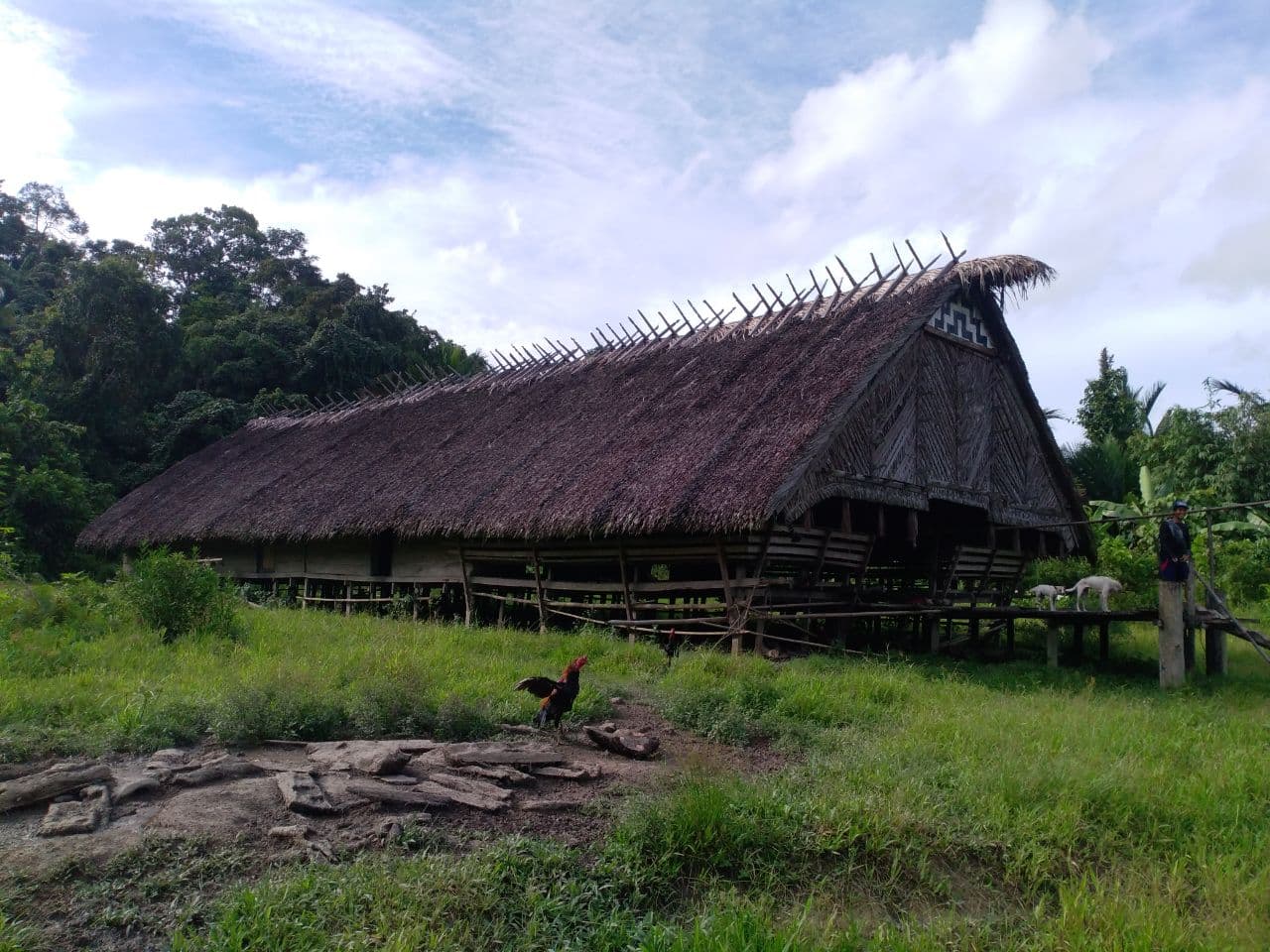 Detail Gambar Rumah Adat Suku Mentawai Nomer 8