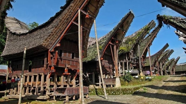 Detail Gambar Rumah Adat Suku Toraja Nomer 14