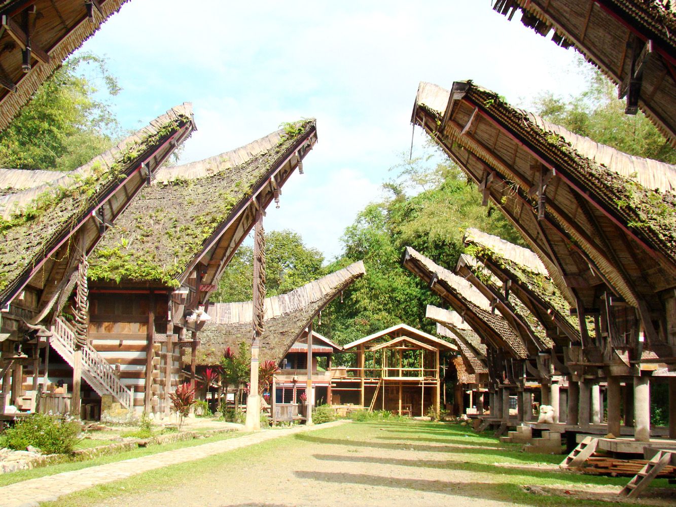 Detail Gambar Rumah Adat Suku Toraja Nomer 16