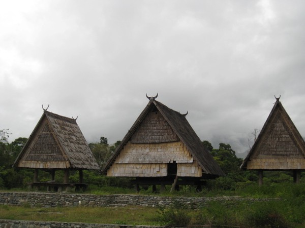 Detail Gambar Rumah Adat Sulawesi Tengah Nomer 19