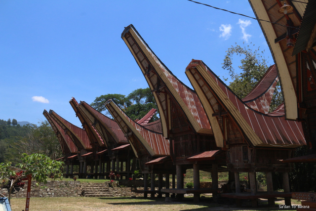 Detail Gambar Rumah Adat Tongkonan Sulawesi Selatan Nomer 45