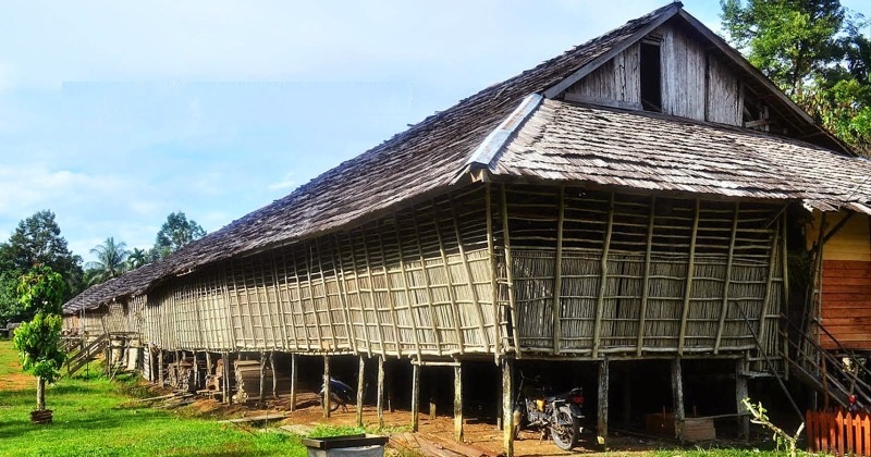 Detail Gambar Rumah Betang Kalimantan Tengah Nomer 27