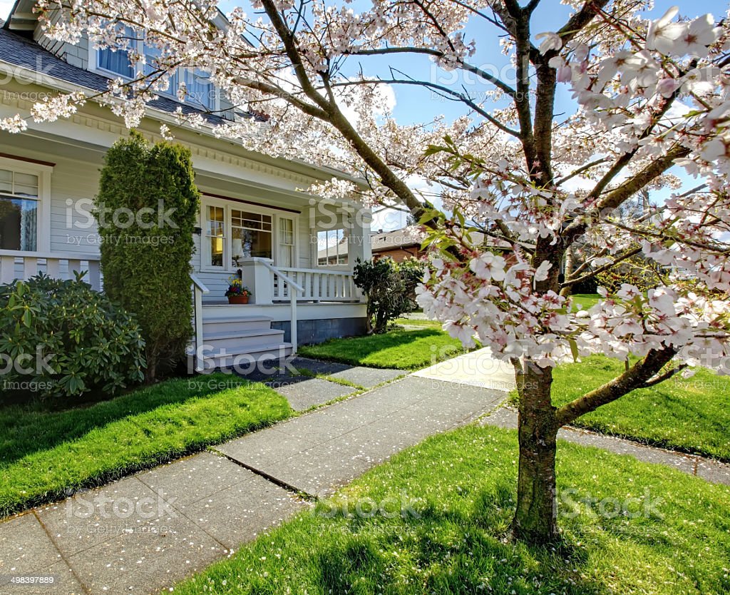 Detail Gambar Rumah Bunga Sakura Nomer 9