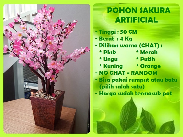 Detail Gambar Rumah Bunga Sakura Nomer 22