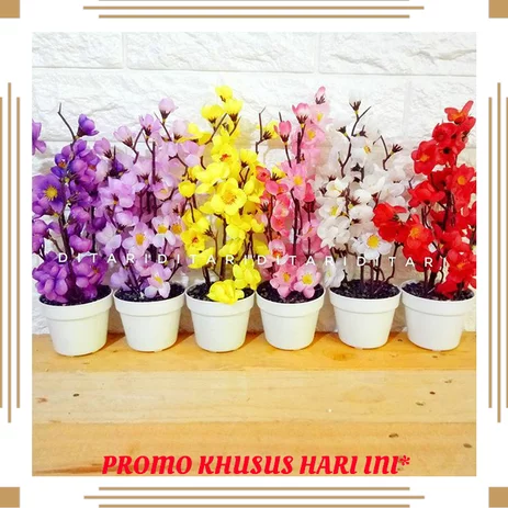 Detail Gambar Rumah Bunga Sakura Nomer 34
