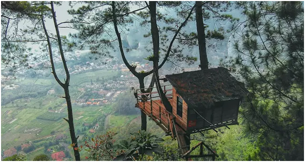 Detail Gambar Rumah Di Gunung Nomer 39