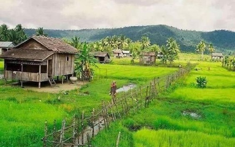 Detail Gambar Rumah Di Sawah Nomer 22