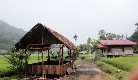 Detail Gambar Rumah Di Sawah Nomer 26