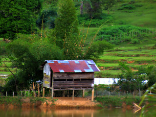 Detail Gambar Rumah Di Sawah Nomer 29