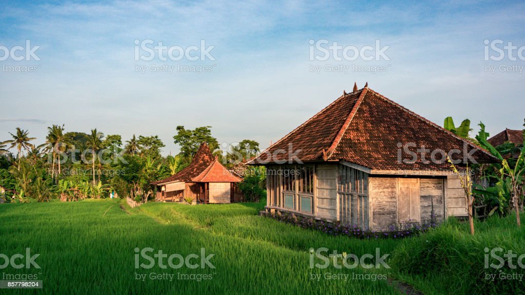 Detail Gambar Rumah Di Sawah Nomer 5