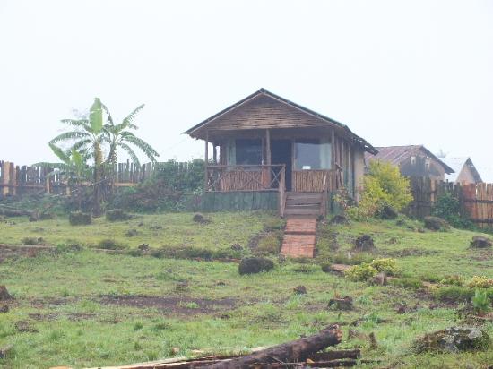 Detail Gambar Rumah Di Sawah Nomer 48