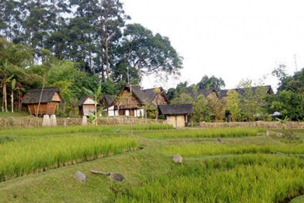 Detail Gambar Rumah Di Sawah Nomer 50