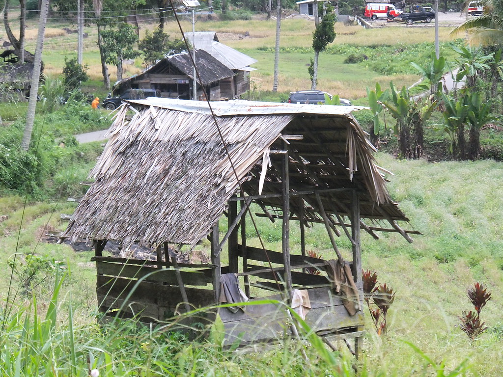 Detail Gambar Rumah Di Sawah Nomer 7