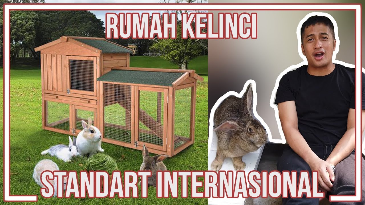 Detail Gambar Rumah Kelinci Nomer 25