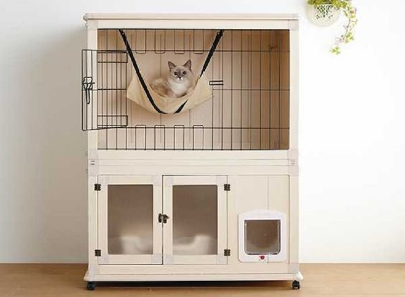 Detail Gambar Rumah Kucing Nomer 27