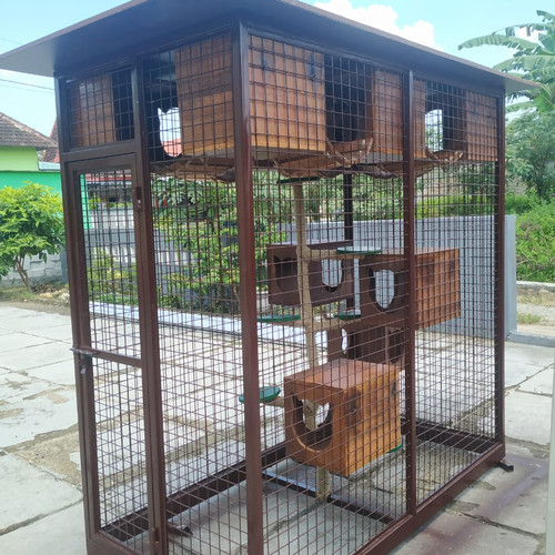 Detail Gambar Rumah Kucing Nomer 29