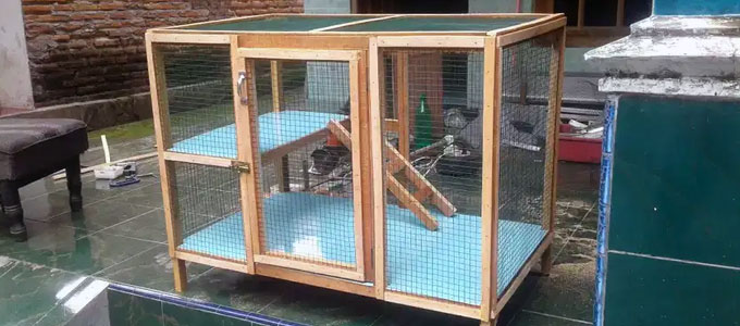 Detail Gambar Rumah Kucing Dari Kayu Nomer 37