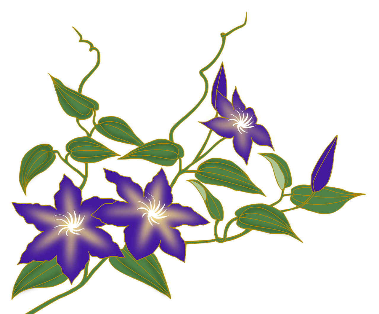 Detail Clematis Bilder Nomer 2