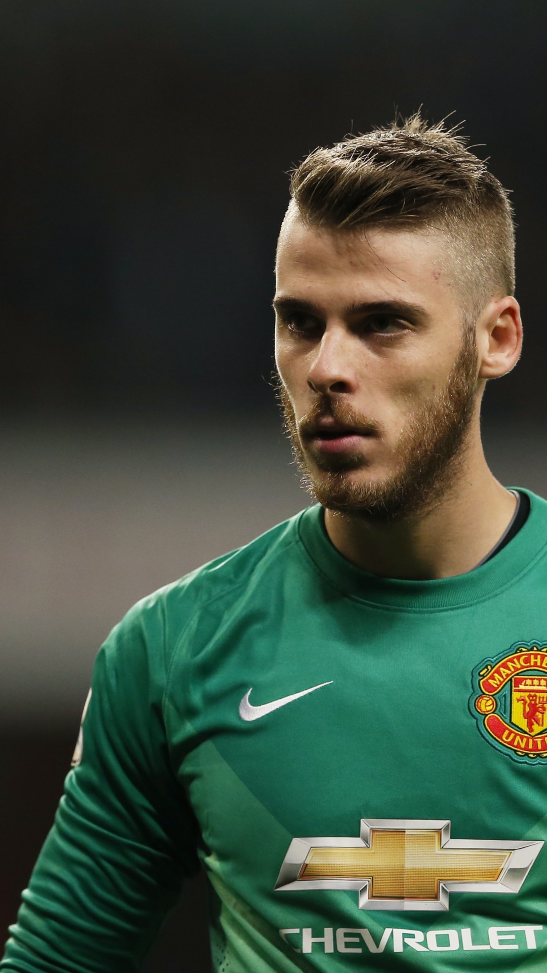 Detail De Gea Hd Nomer 33