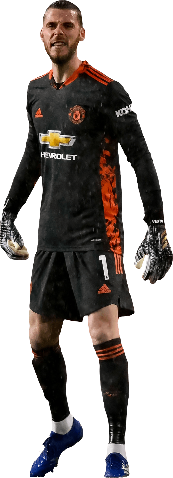 Detail De Gea Png Nomer 40