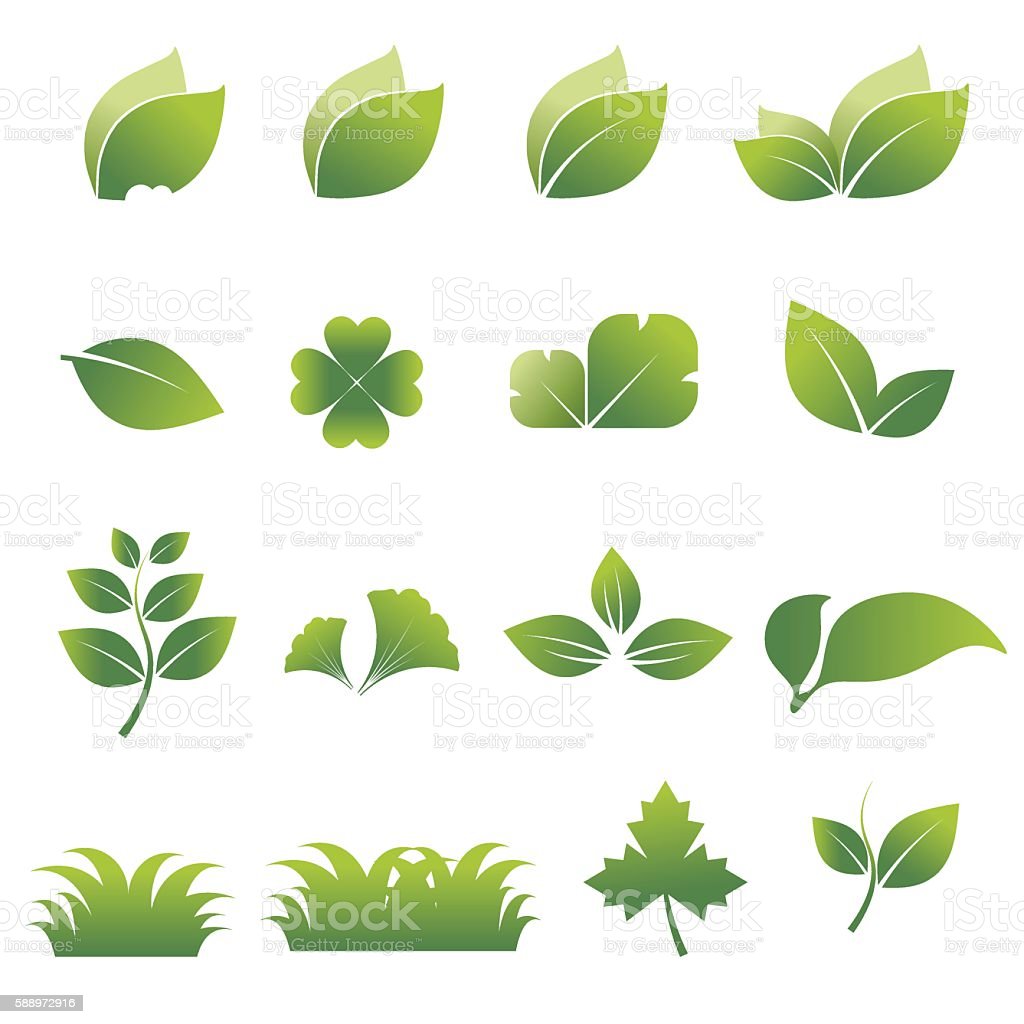 Detail Dedaunan Vector Nomer 11