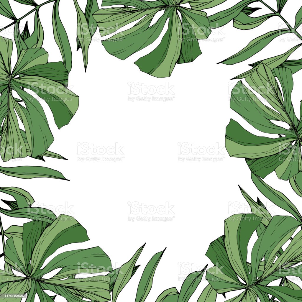 Detail Dedaunan Vector Nomer 10