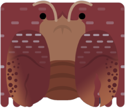 Detail Deeeep Io Mantis Shrimp Nomer 15
