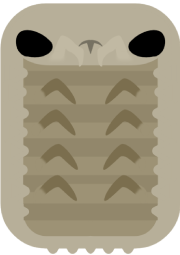Detail Deeeep Io Mantis Shrimp Nomer 35