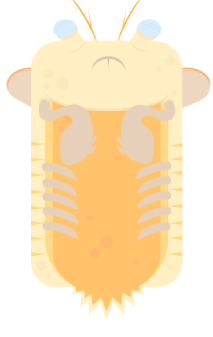 Detail Deeeep Io Mantis Shrimp Nomer 6