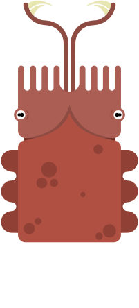 Detail Deeeep Io Mantis Shrimp Nomer 52