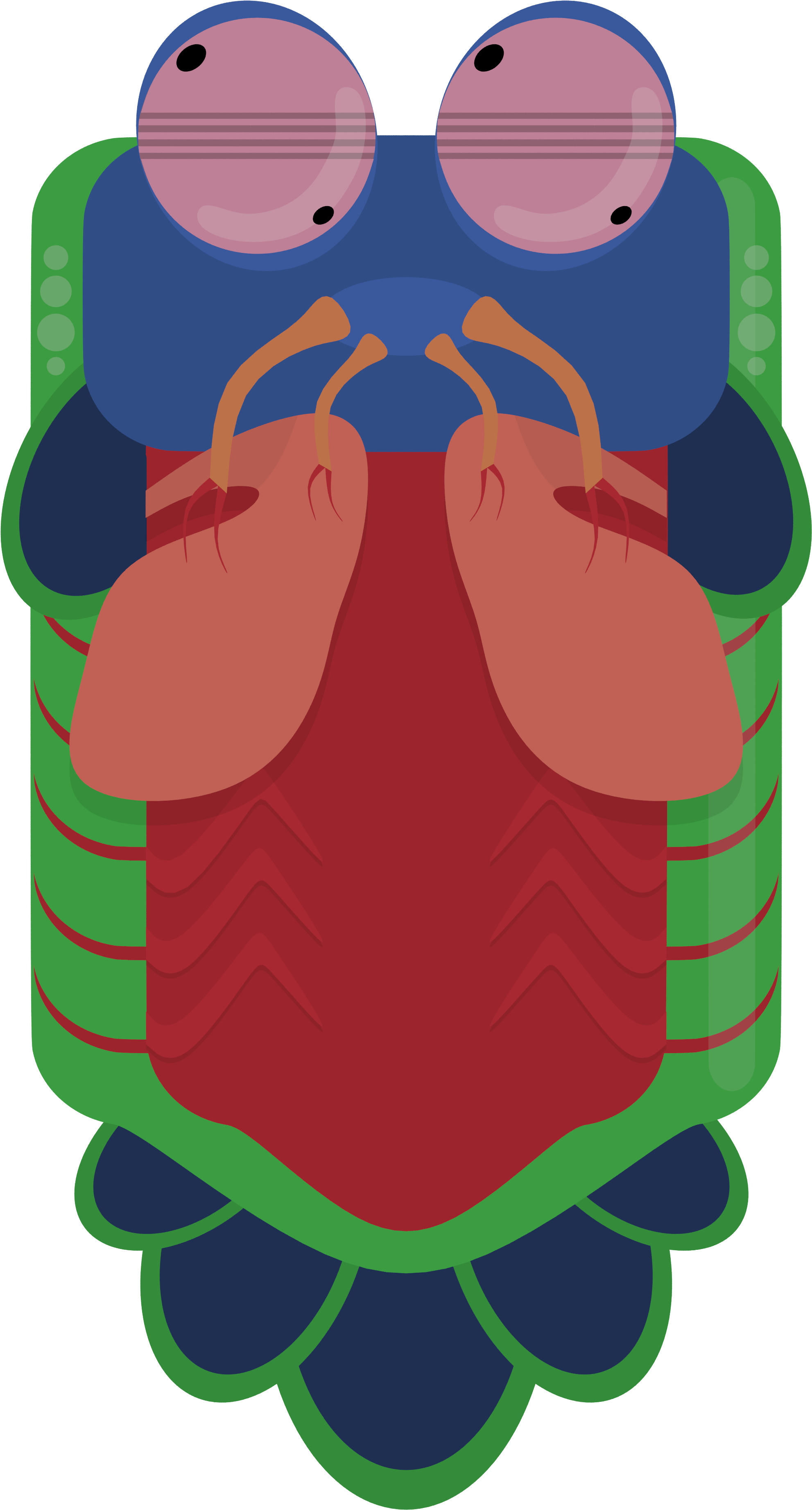 Detail Deeeep Io Mantis Shrimp Nomer 8