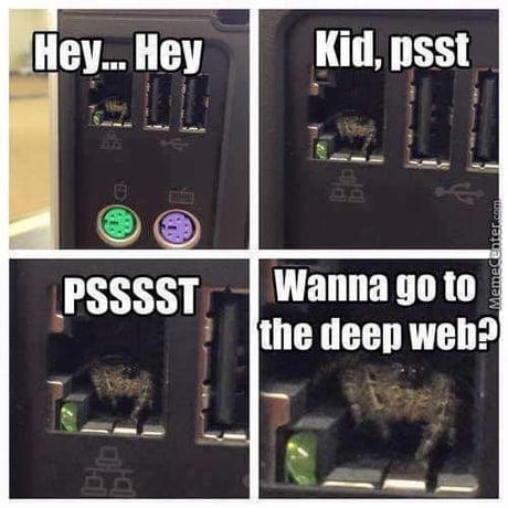 Detail Deep Web Meme Nomer 25