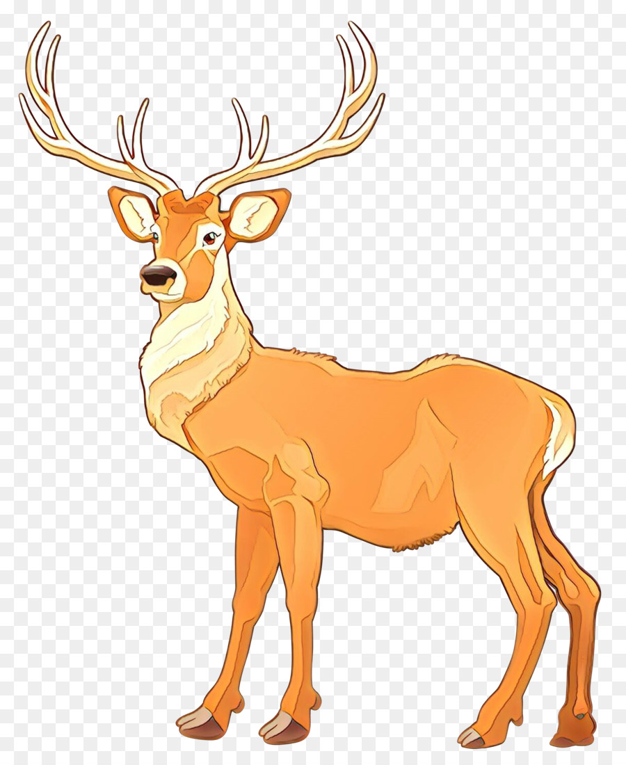 Detail Deer Cartoon Png Nomer 42