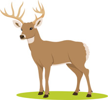 Detail Deer Clipart Free Nomer 9