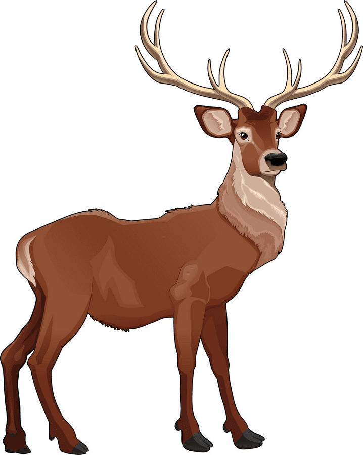 Detail Deer Clipart Free Nomer 13