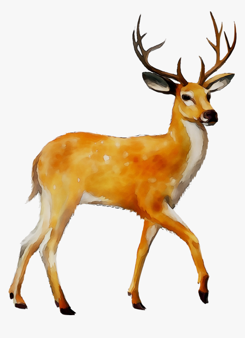 Detail Deer Clipart Png Nomer 11