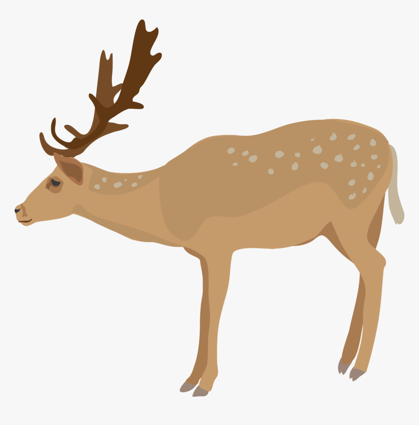 Detail Deer Clipart Png Nomer 16