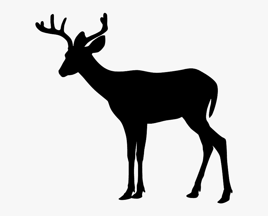 Detail Deer Clipart Png Nomer 51