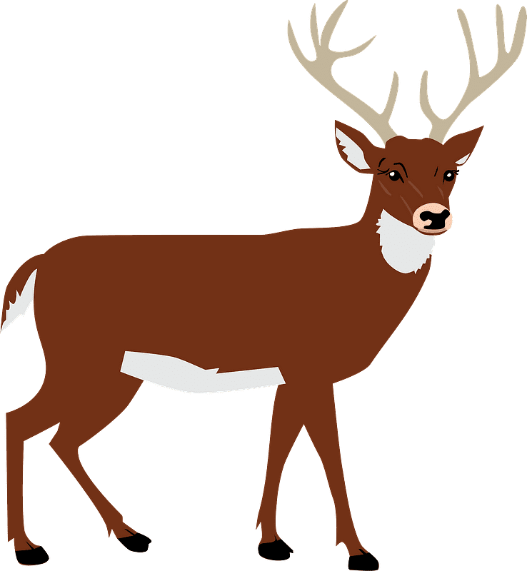 Detail Deer Clipart Png Nomer 7